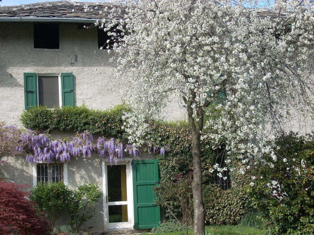 B&B L'Isola Piantedo Exterior photo